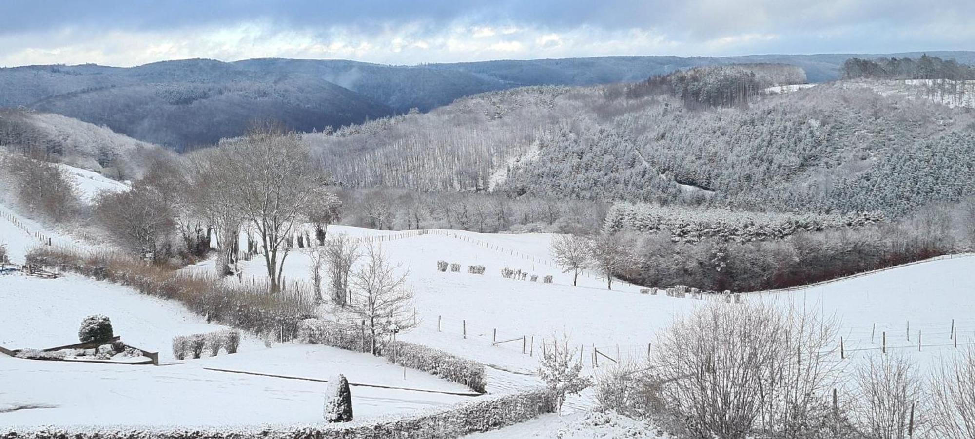 Fewo-Eifel-Morsbach Schleiden Esterno foto